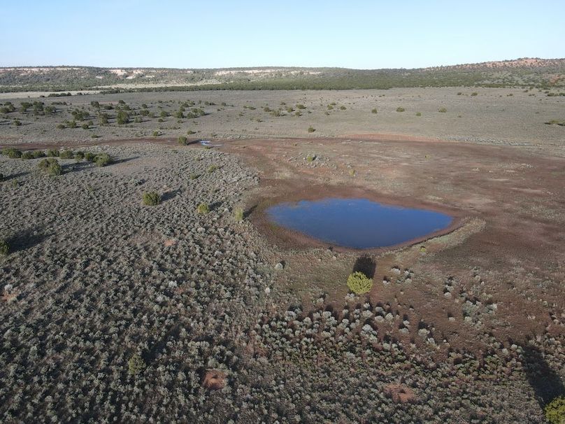 dji_fly_20240504_072604_306_1714829178674_photo