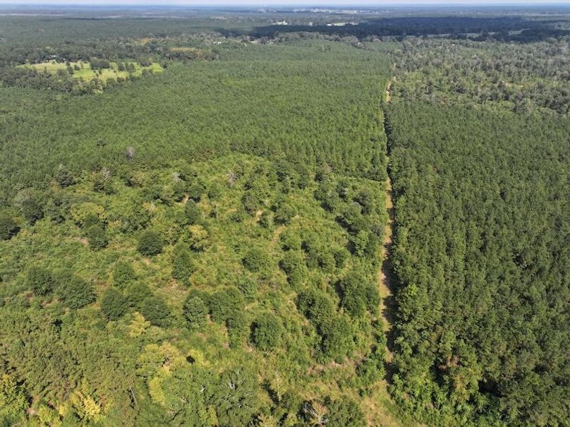 dji_fly_20250915_151406_0475_1758029011016_photo