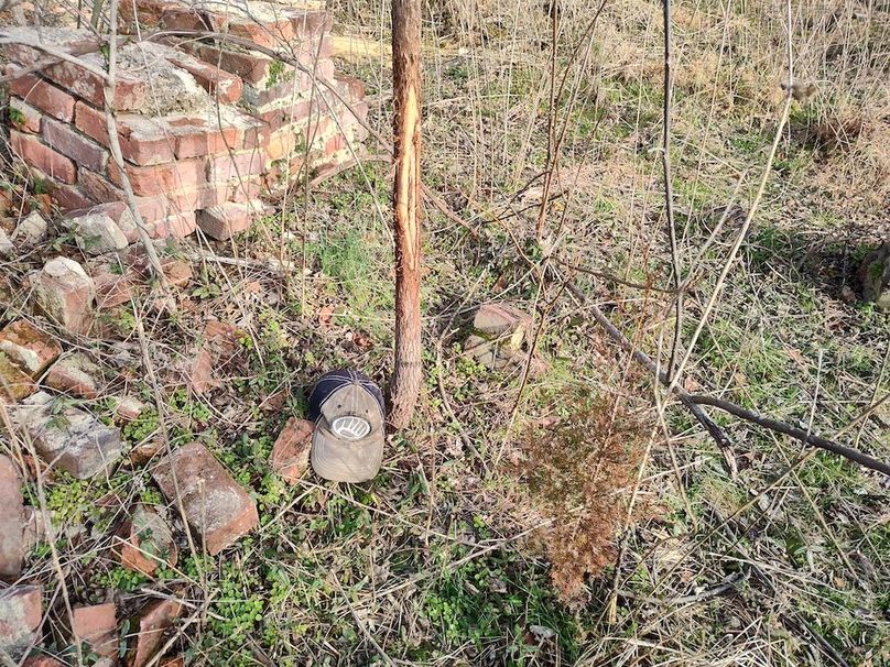 IMG_20260123_145649833_HDR