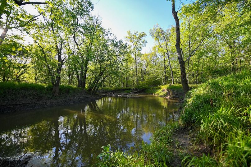 vandalia 450 (2)-3017