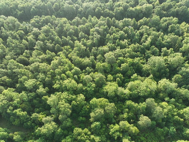 dji_fly_20230630_080838_201_1688137743332_photo