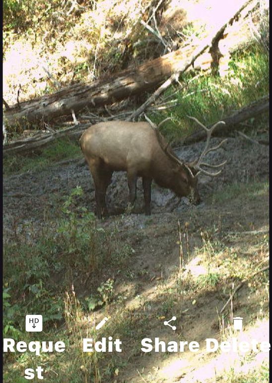 Copy of DEF66AF3-75C7-4636-A2DD-18E4C3999C90