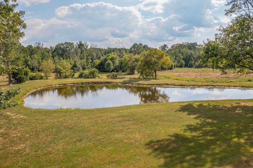 St Clair 2020250915_0185