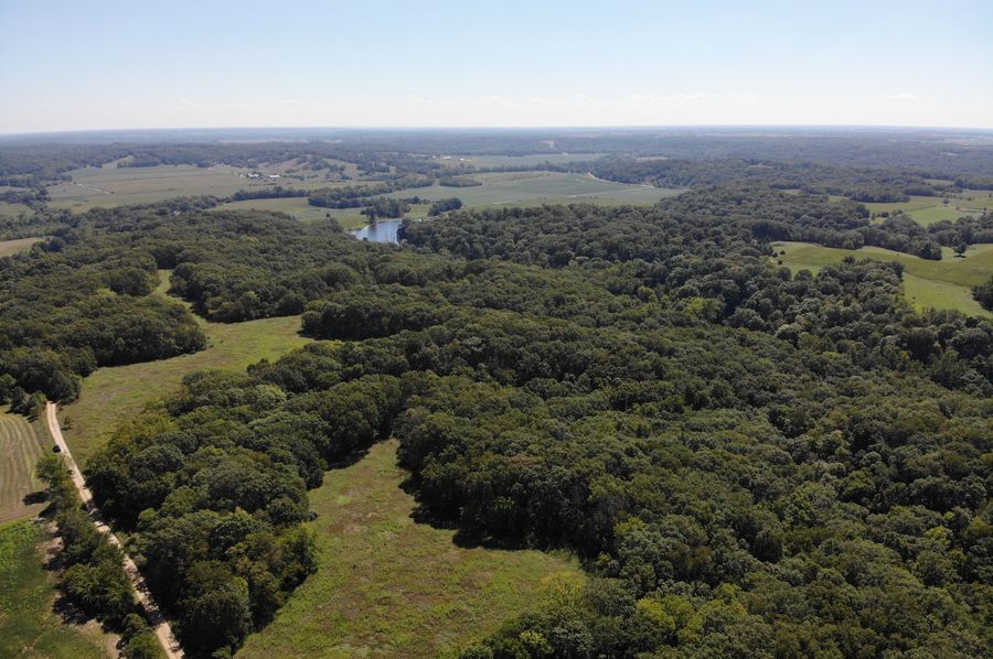 DJI_0856