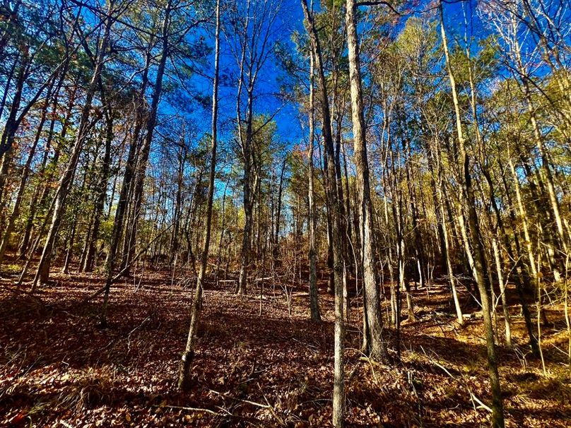 301CEA32-F897-4B2B-89BB-E8E91605D89C_1_201_a