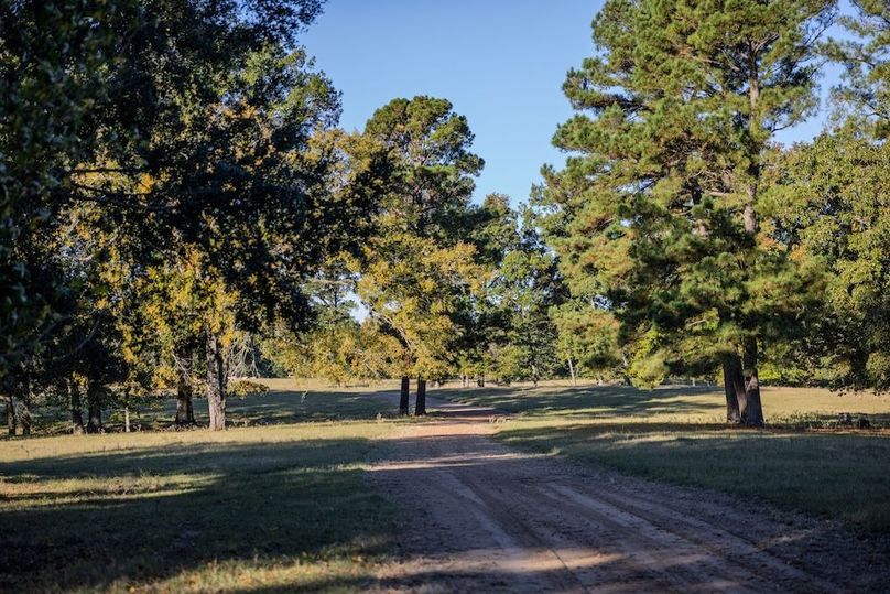 41 harrison 417ac pics-061