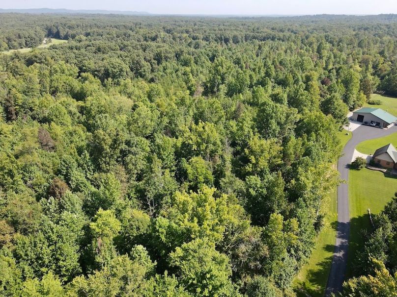 dji_fly_20240824_112644_696_1724513217709_photo