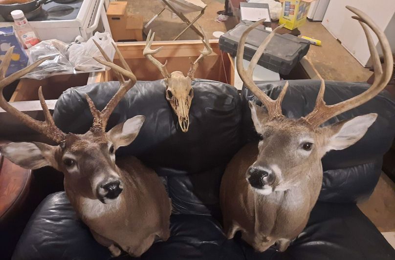 Lee County, MS 92+--30