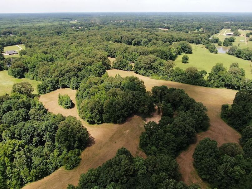 SW facing land