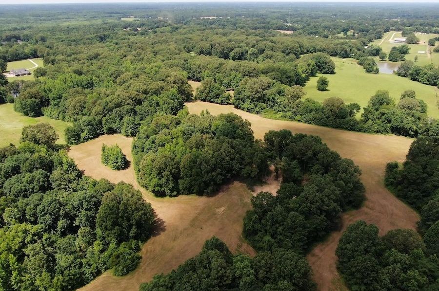 SW facing land