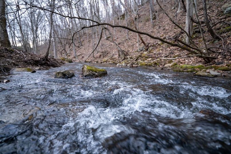 Somerset, 20, Hostetler-49