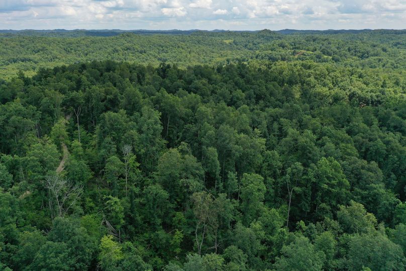 034 aerial drone shot from the northeastern corner looking east along the north boundary