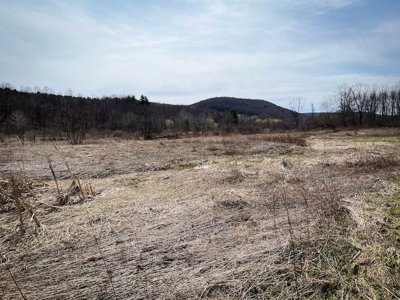 Tioga__NY_109.7_Burris_Photos_130