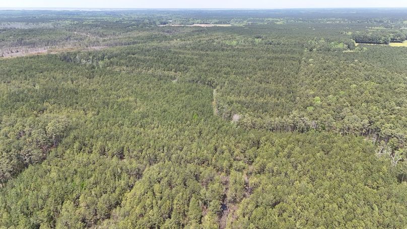 dji_fly_20250424_133644_0035_1745525996169_aeb