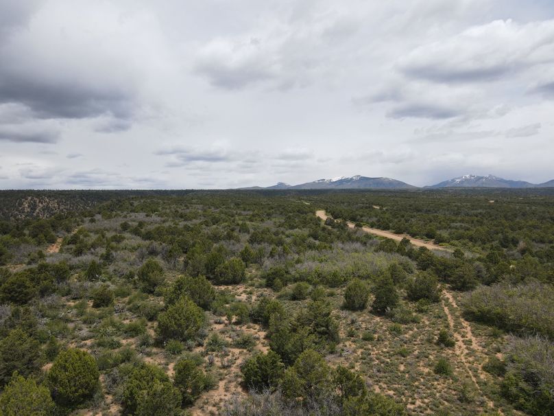 dji_export_1685968245810