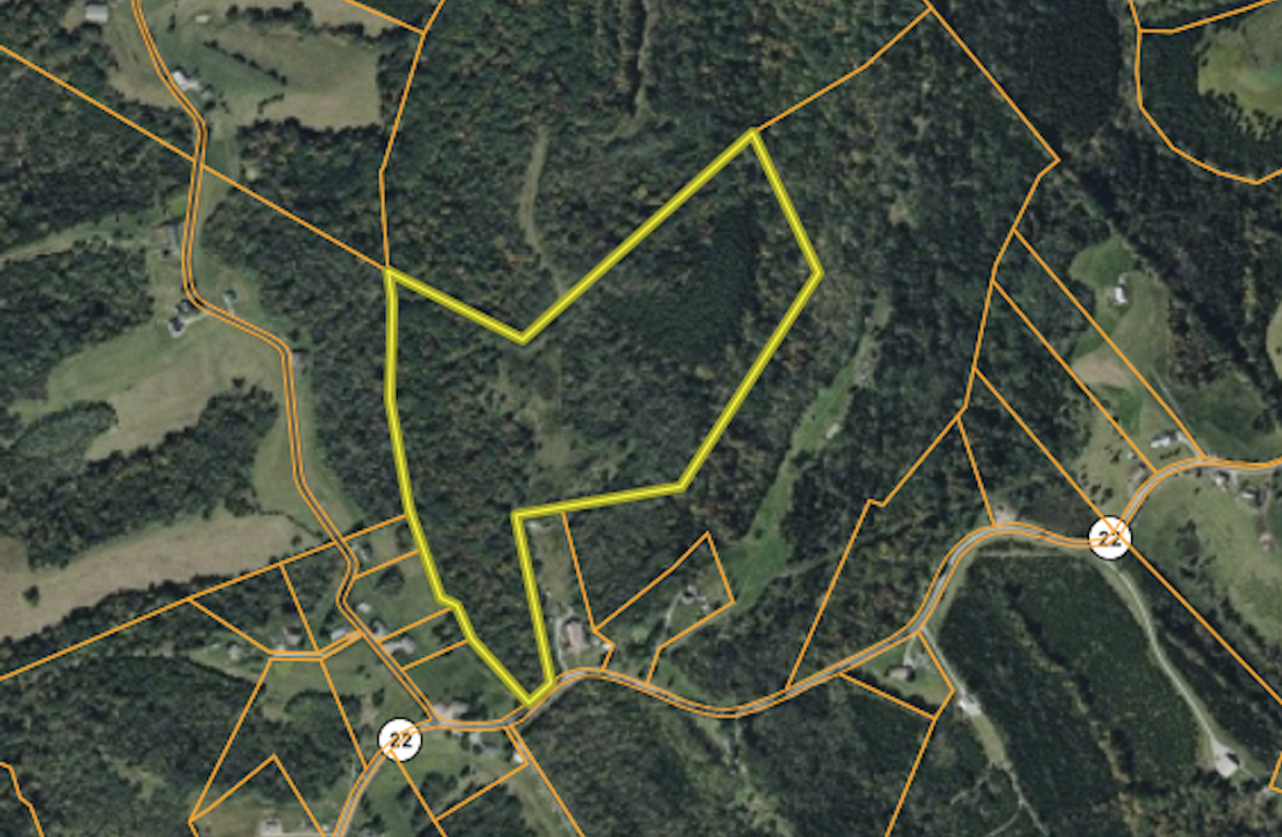 Screenshot 2025-06-19 at 10.04.03 AM