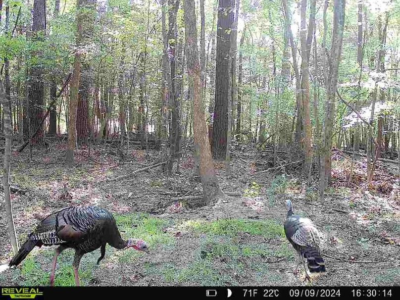 867490071175496-10-3-09092024163014-W1003274