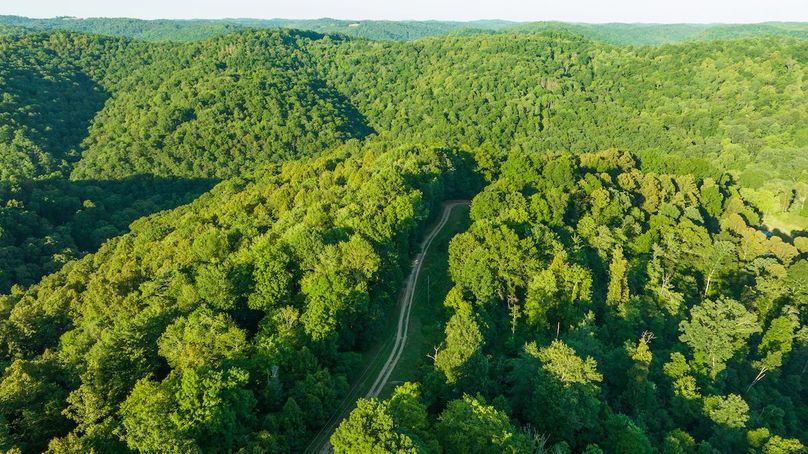 Wetzel WV 171 Featured_Pro Photo-70