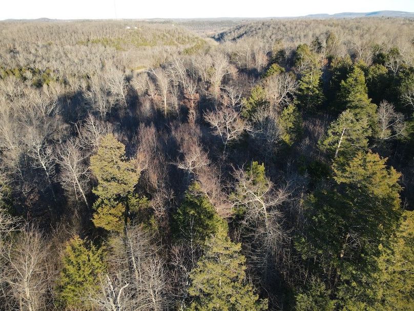 DJI_0301