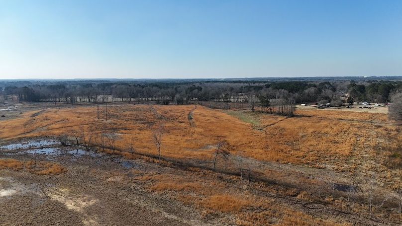 dji_fly_20260206_112656_0242_1770395786611_photo