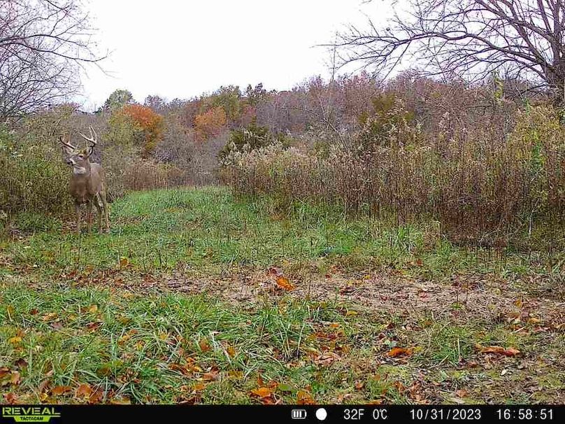 860322065128164-30-4-10312023165850-V-W1004755