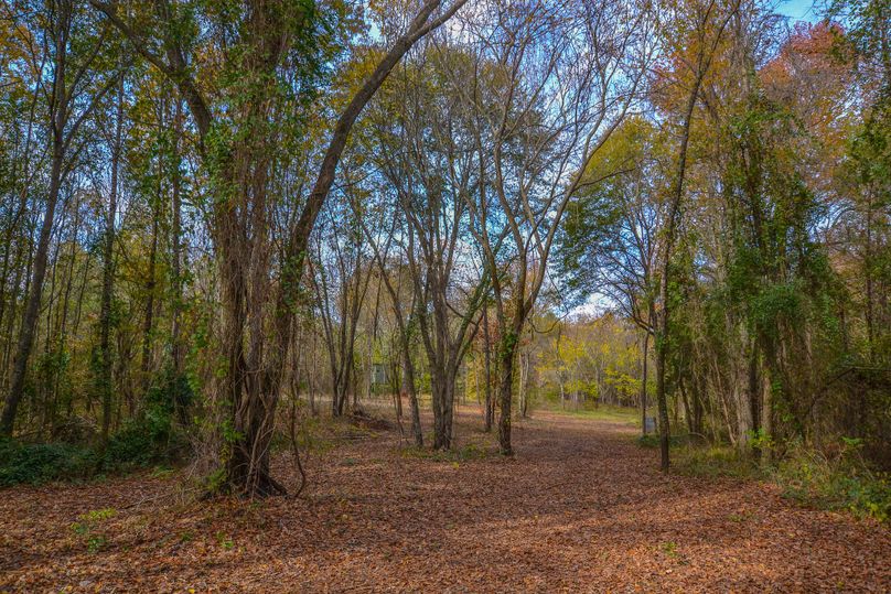 Hunting And Recreation Hideaway In East Texas Whitetail Properties
