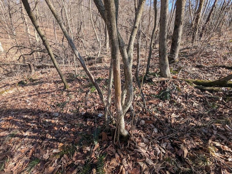 PXL_20240223_164223408