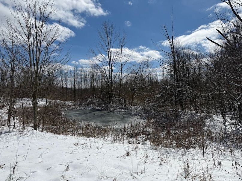 Chemung_43.23_Lippincott Photo 10