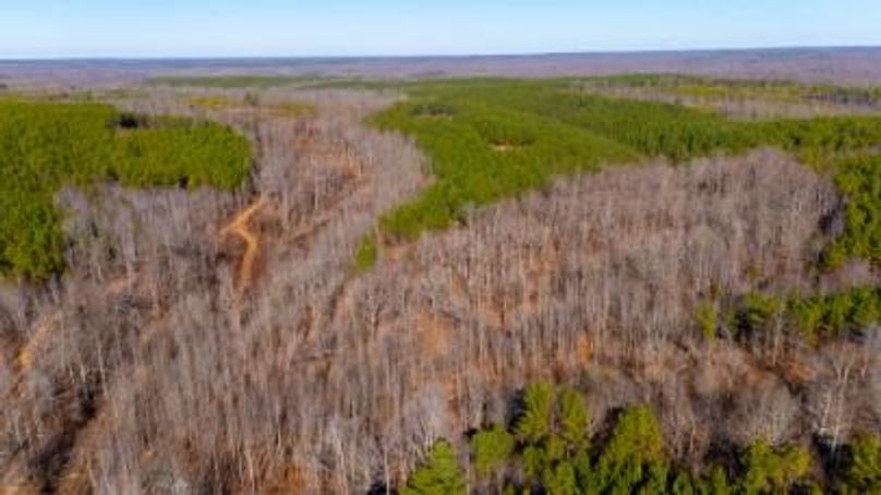 MCKINNON TRACT 29-20