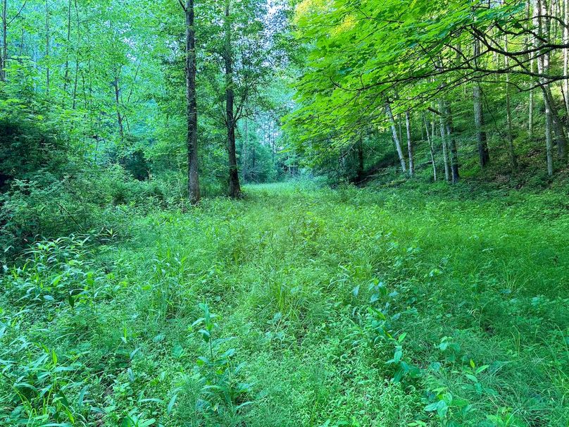 Ritchie, WV 92 AC Thompson-36