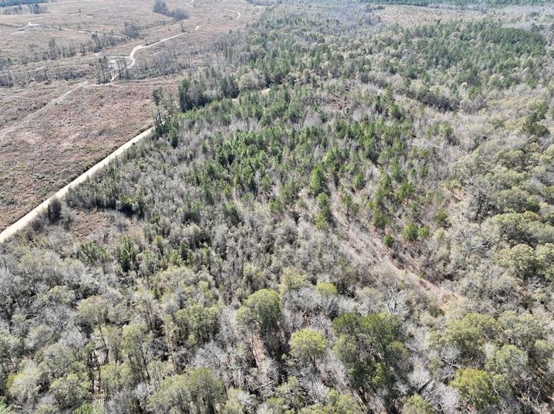 dji_fly_20251128_133144_24_1764354899599_photo