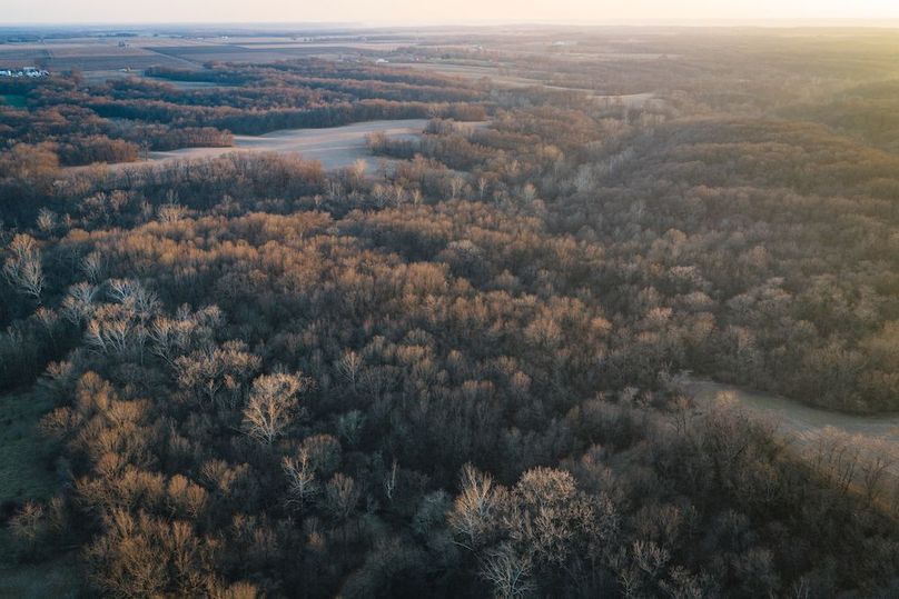 DJI_20260309183525_0330_D