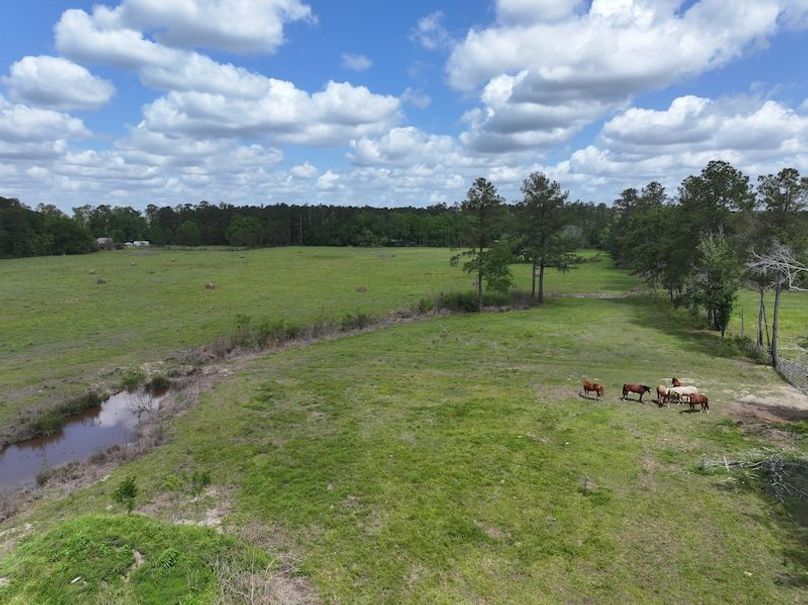 dji_fly_20260414_103312_0083_1776201093629_photo