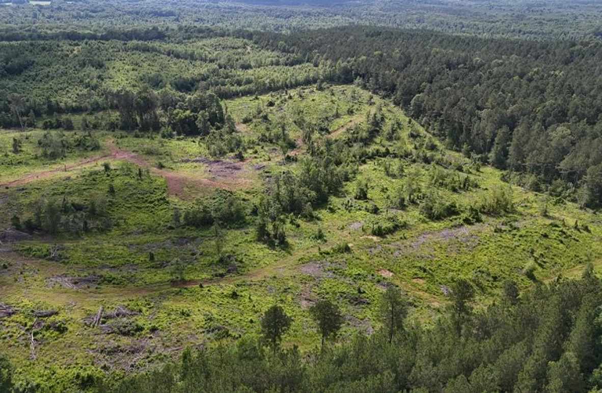 DJI_20250528053047_0505_D