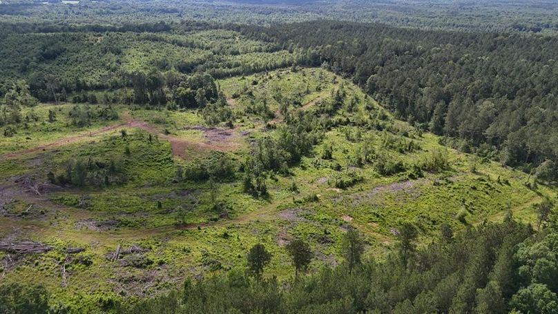 DJI_20250528053047_0505_D