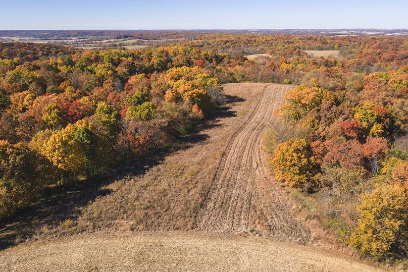 DJI_20251107114946_0957_D-HDR