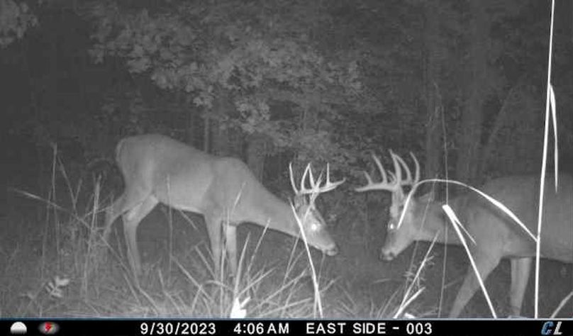 trail cam28