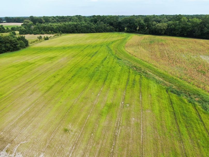 DD3ECC82-DBEC-493B-8FEE-5B3FA54C2B79