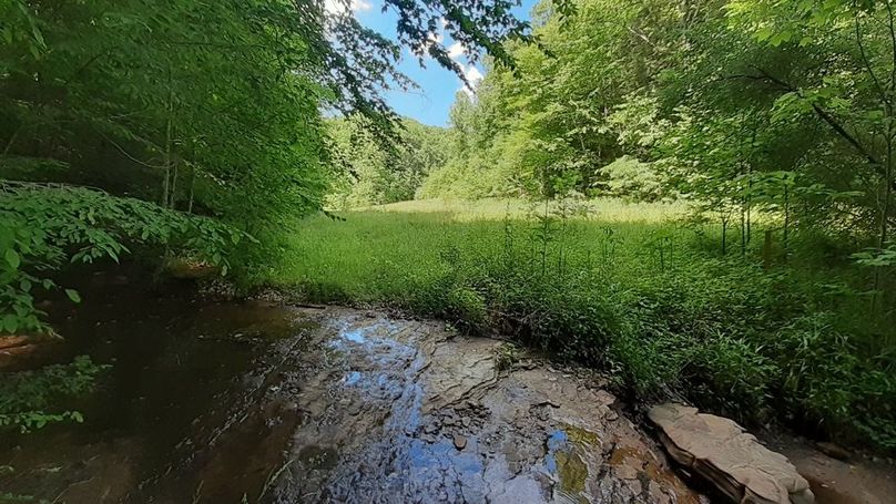 046 little peak out from under the shade tree-2