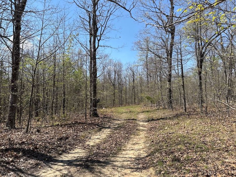 DJI_20260408_135726_800