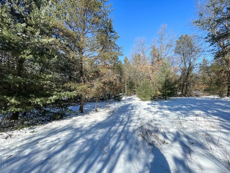 Adams 25, Nessler -56