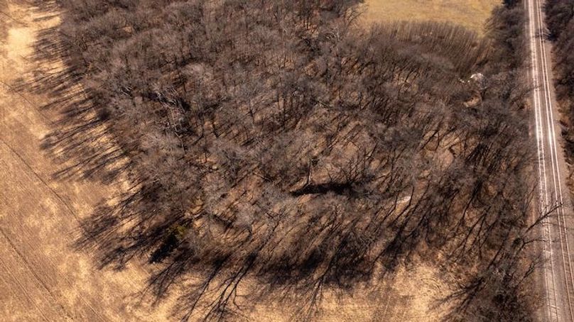 Neosho Duck Property-12