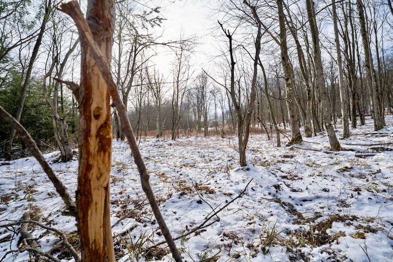 Somerset, 23.59, Keller-37