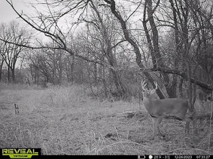 865509050044191-10-4-12262023073046-W1001162