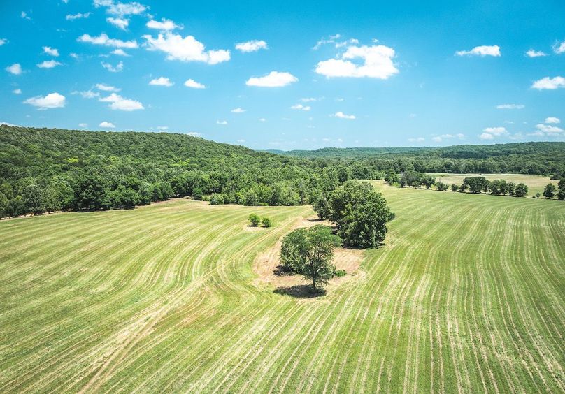 DJI_20250621133832_0634_D
