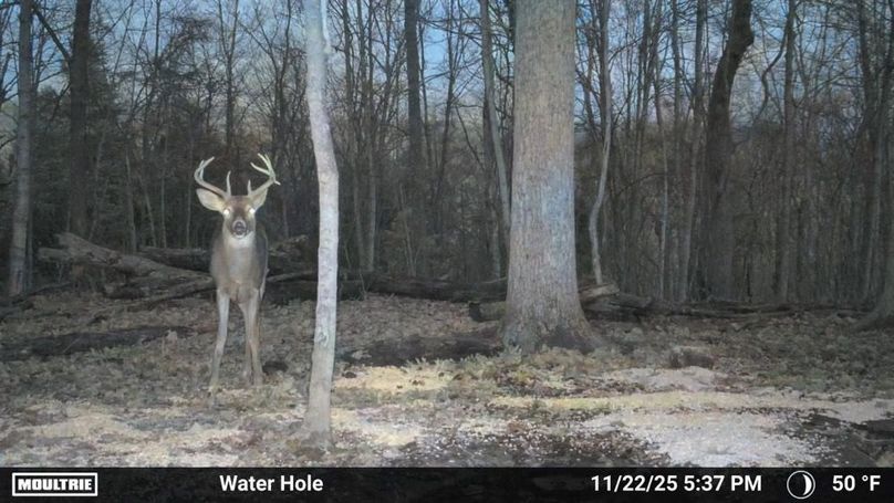 Temp_2337651-20251122223737-100MFCAM_MFDC5167