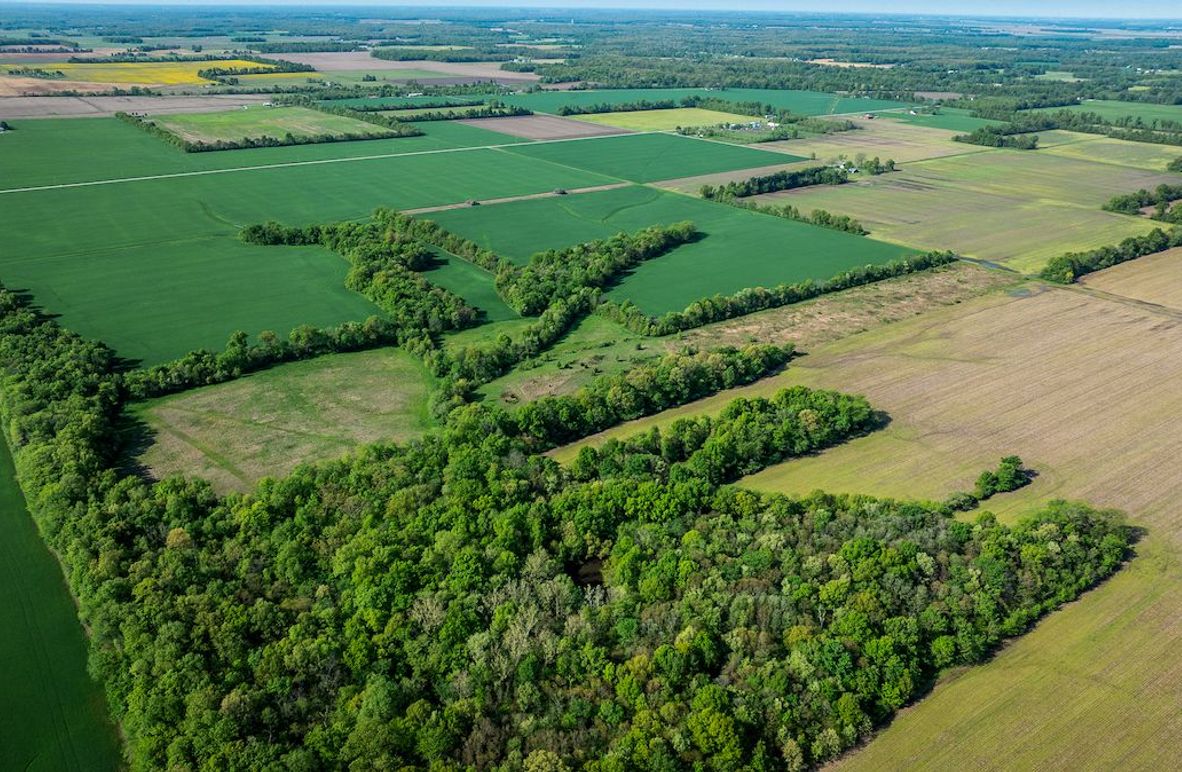 1-DJI_20250428083545_0034_D