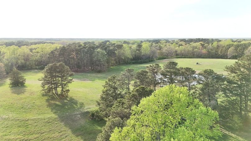 dji_fly_20250401_175118_0022_1743546673108_photo