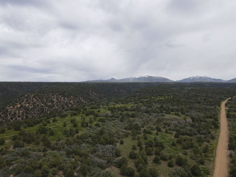 dji_export_1685968225073