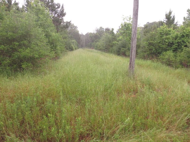 7891D0CF-DC2F-4A22-A7D8-CE9911ADBD0A_1_105_c